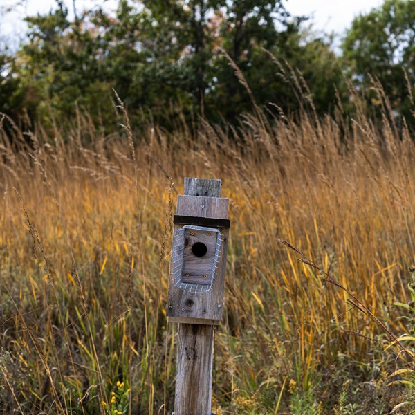 Birdhouse